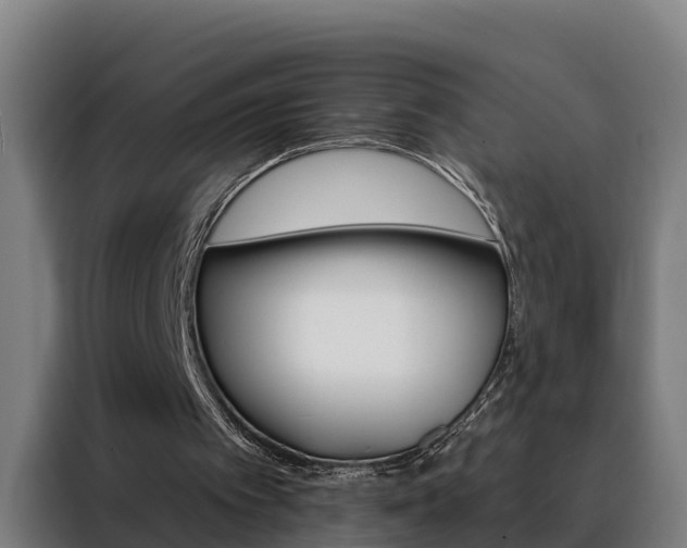 X0000088490097200705221031