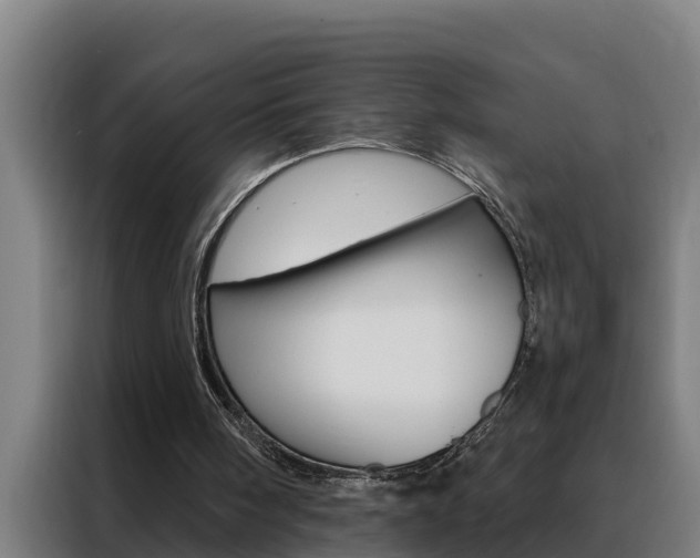 X0000088490098200705221031