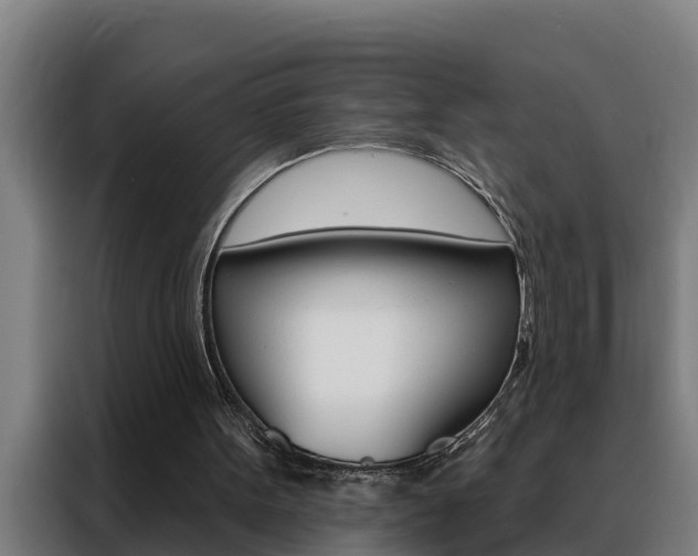 X0000088490099200705221031