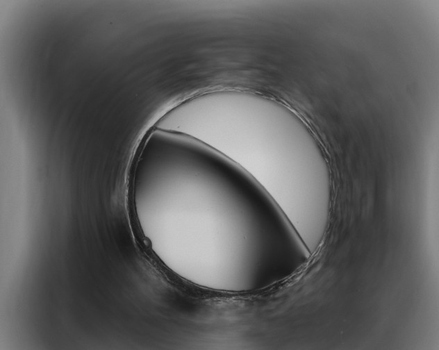 X0000088490100200705221031