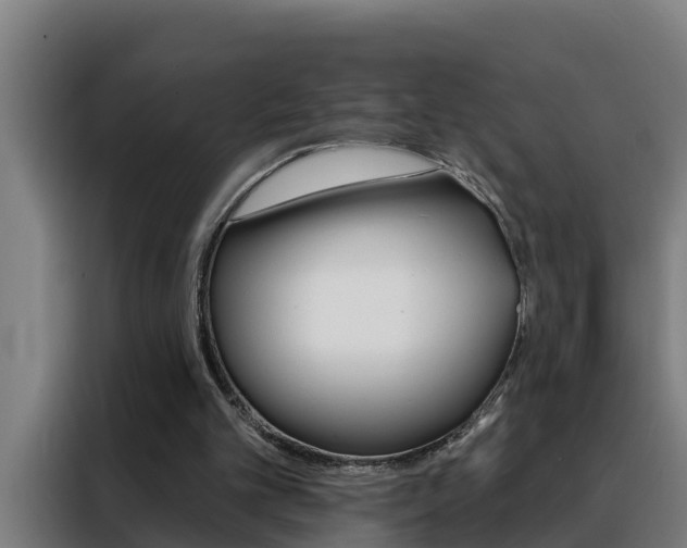 X0000088490101200705221031