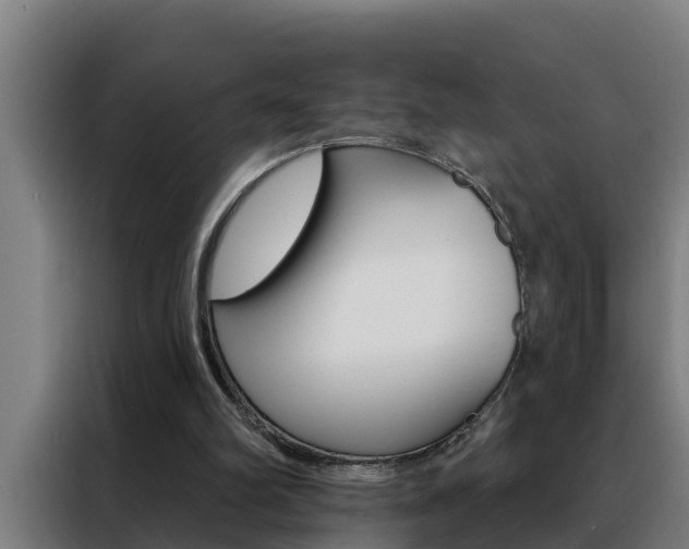 X0000088490102200705221031