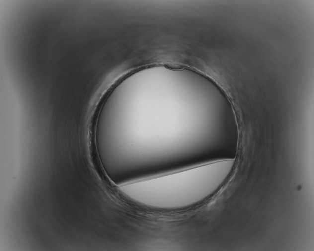X0000088490103200705221031