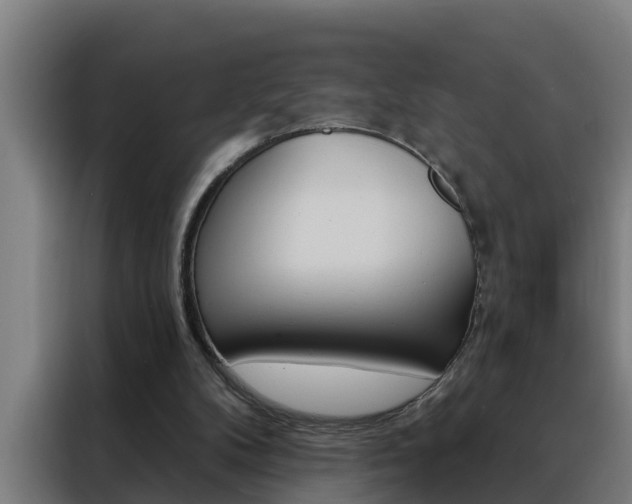 X0000088490104200705221031