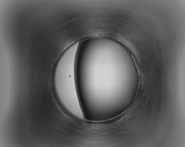 X0000088490105200705221031