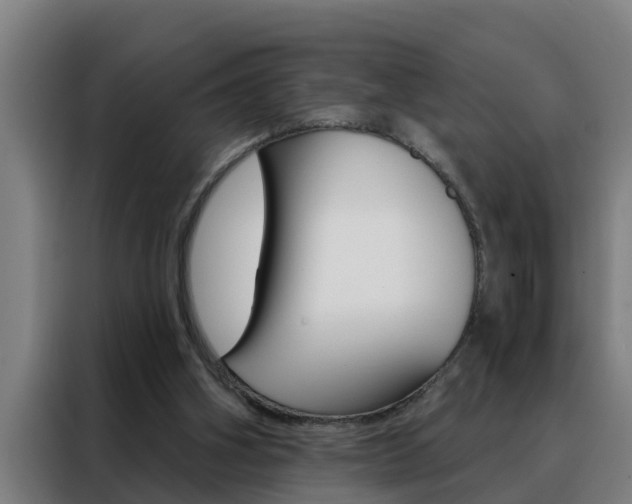 X0000088490106200705221031