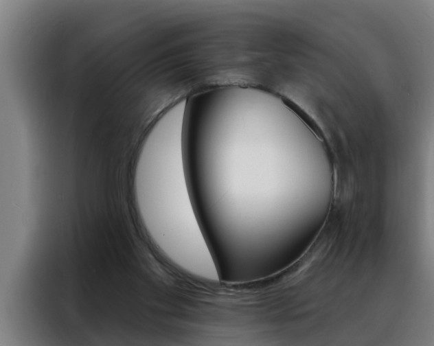 X0000088490109200705221031