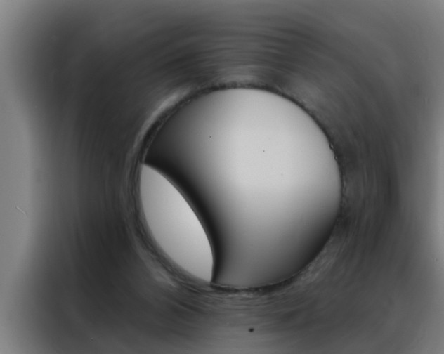 X0000088490112200705221031