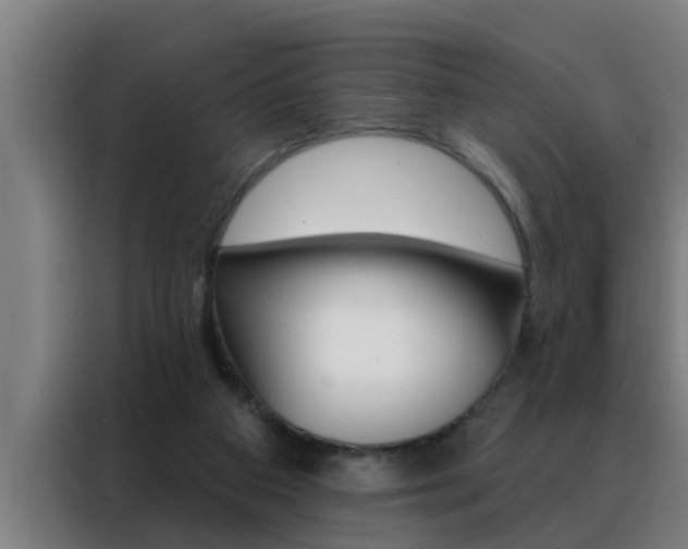 X0000088490113200705221031