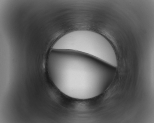 X0000088490115200705221031