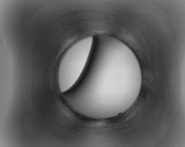 X0000088490116200705221030