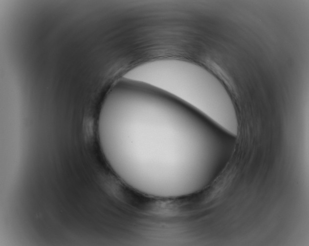 X0000088490117200705221030