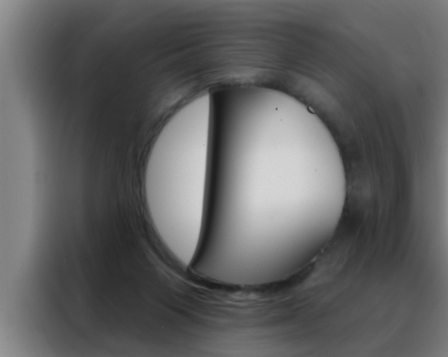 X0000088490119200705221030