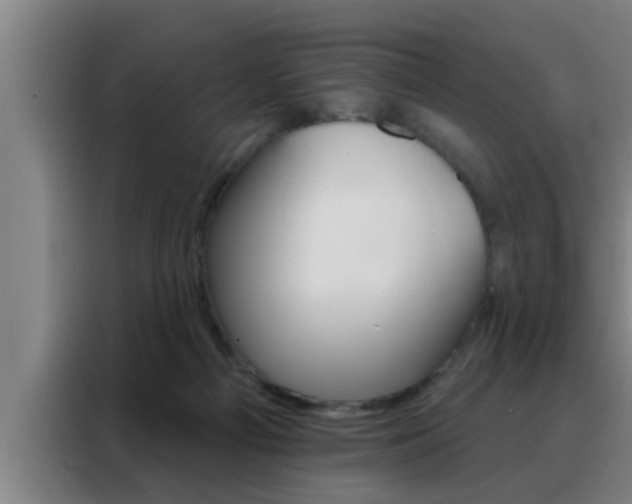 X0000088490121200705221030
