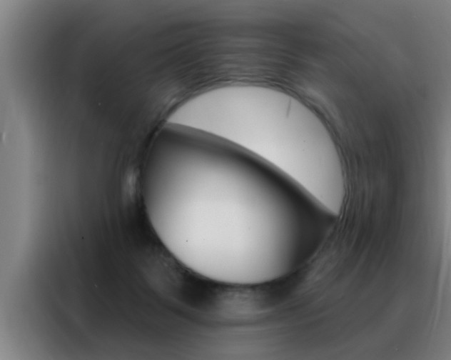 X0000088490123200705221030