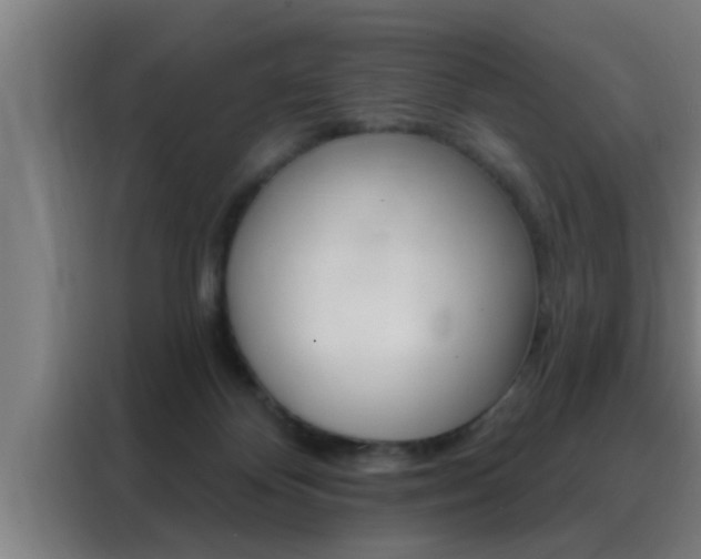 X0000088490124200705221030