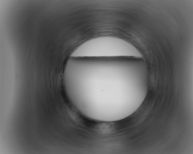 X0000088490126200705221030