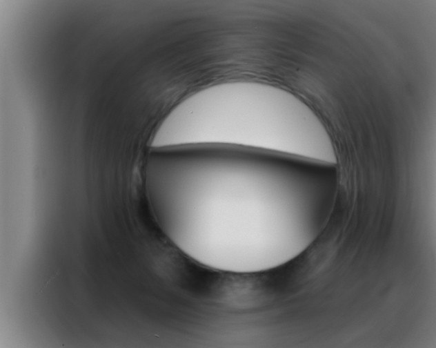 X0000088490127200705221030