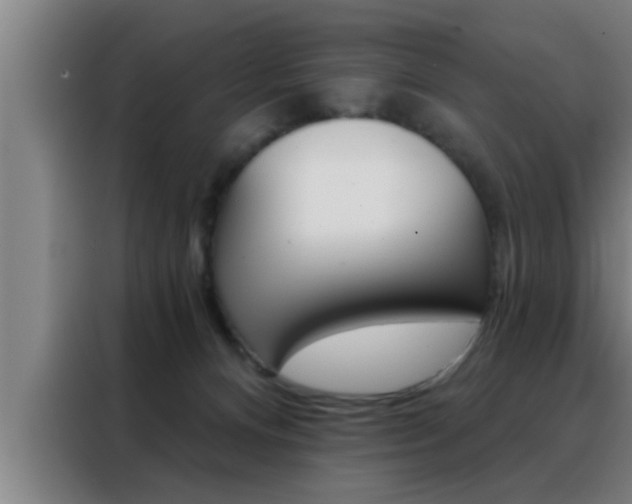 X0000088490128200705221030