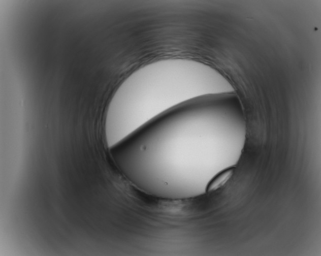X0000088490131200705221030