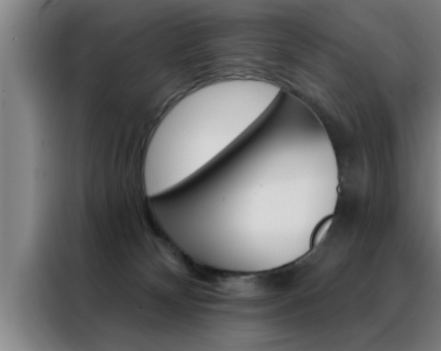 X0000088490132200705221030