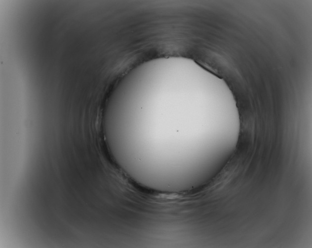 X0000088490133200705221030