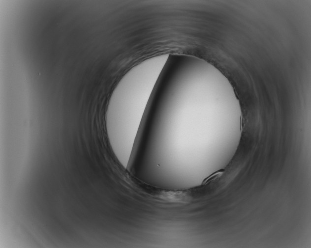 X0000088490137200705221030