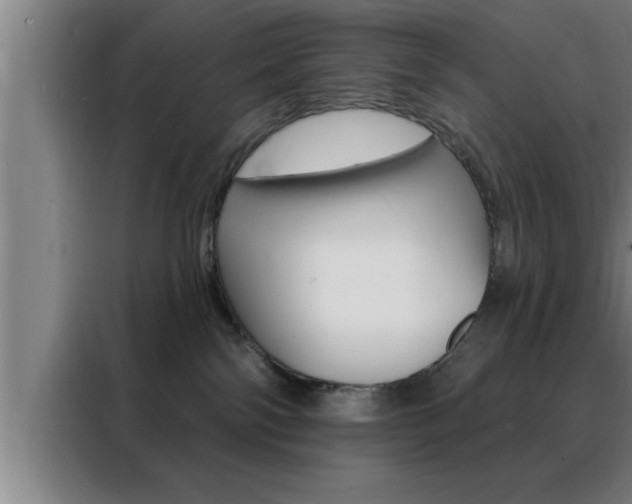 X0000088490138200705221030