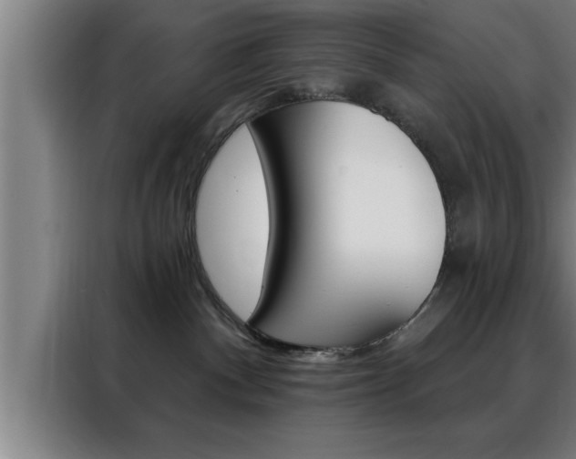 X0000088490140200705221030