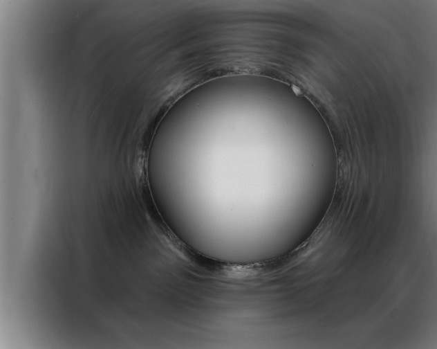 X0000088490141200705221030