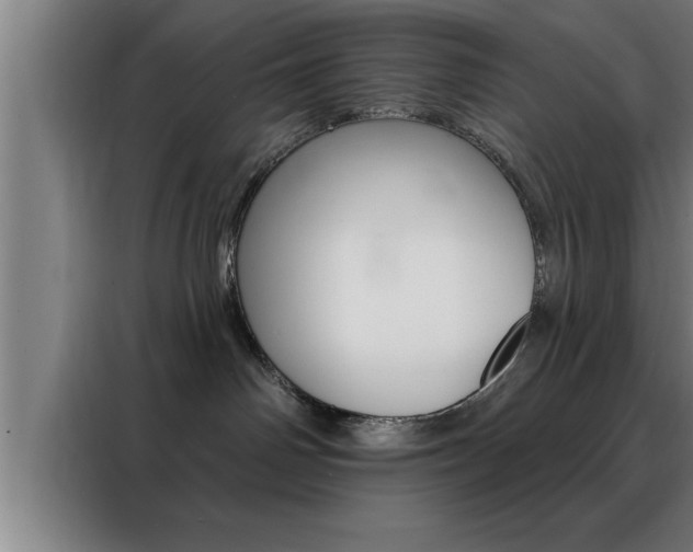 X0000088490142200705221030