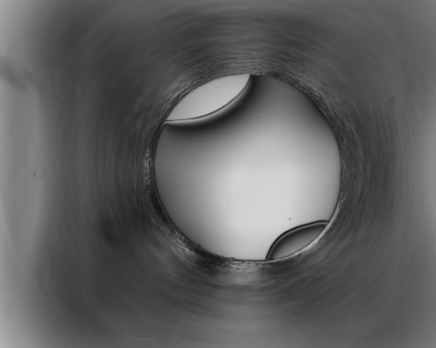 X0000088490144200705221030