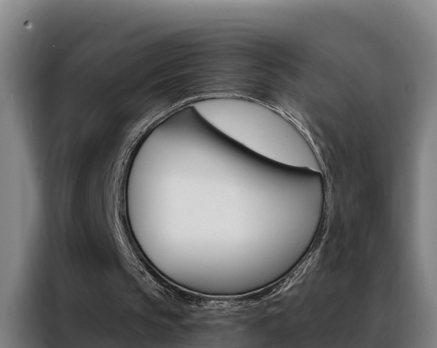 X0000088490145200705221029