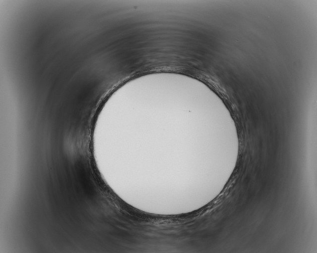 X0000088490146200705221029