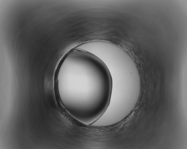 X0000088490148200705221029