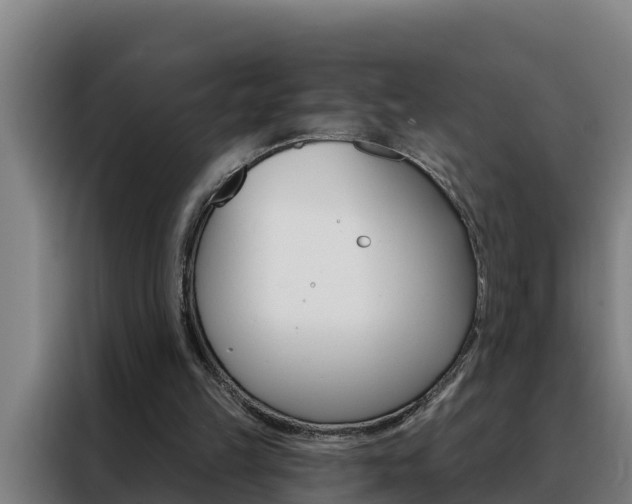 X0000088490149200705221029