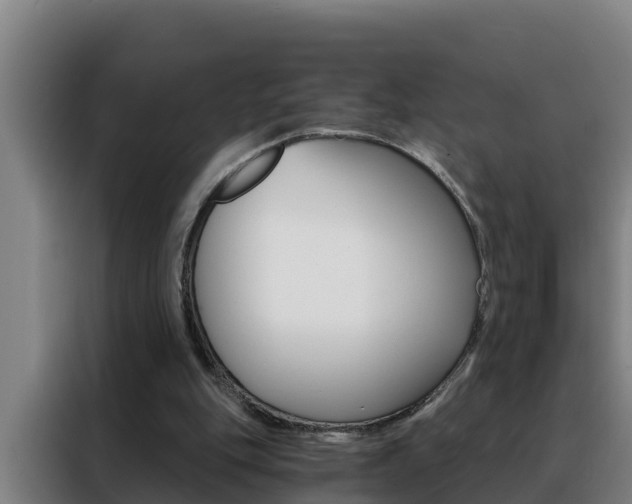 X0000088490151200705221029