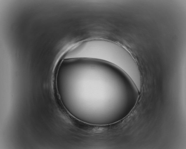 X0000088490152200705221029