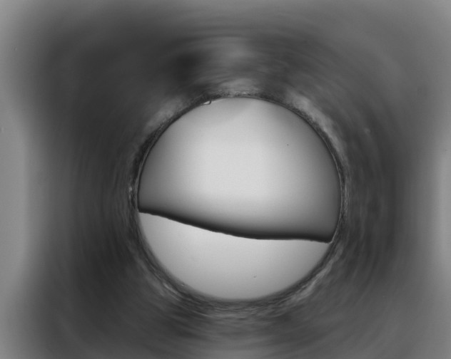 X0000088490153200705221029