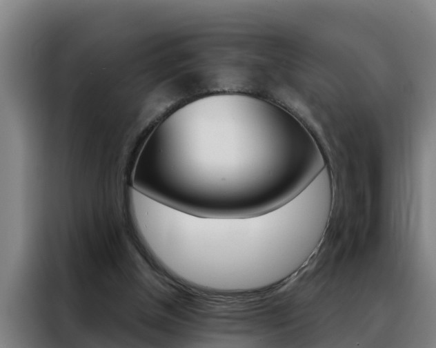X0000088490154200705221029
