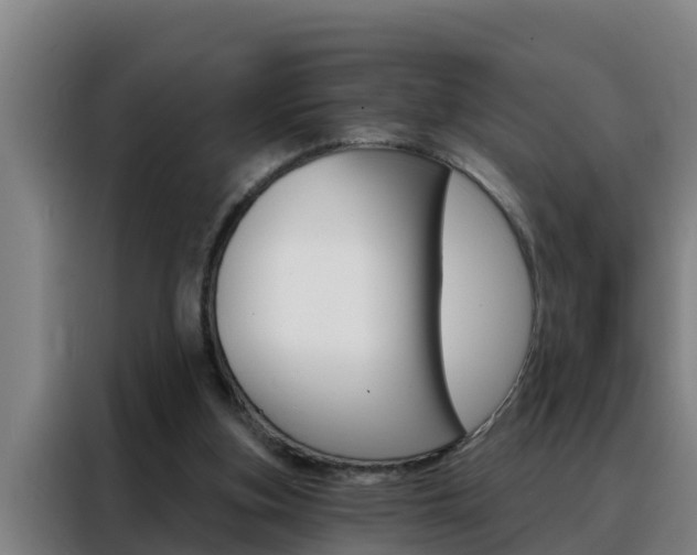 X0000088490155200705221029