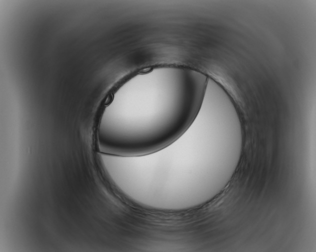 X0000088490156200705221029