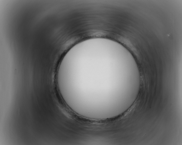 X0000088490159200705221030