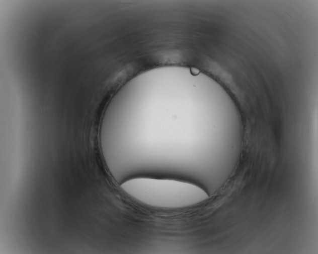 X0000088490161200705221030
