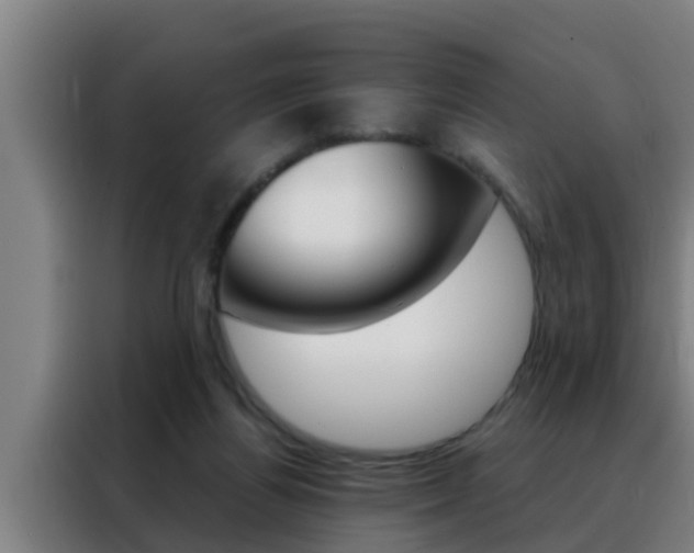 X0000088490164200705221030