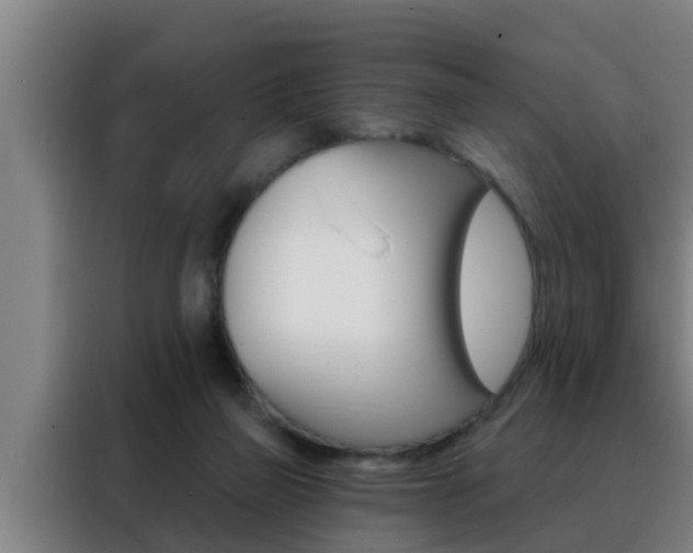 X0000088490165200705221030
