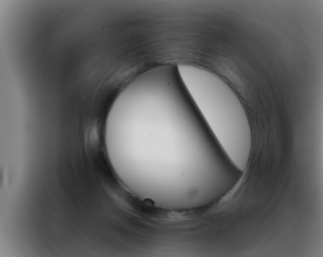 X0000088490166200705221030