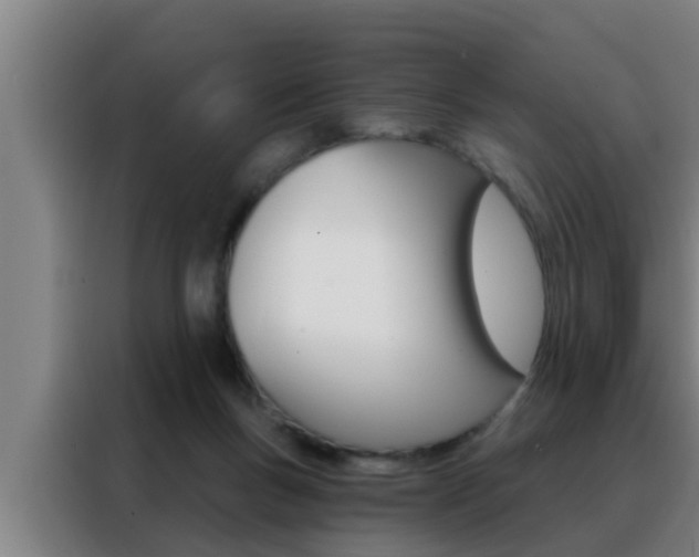 X0000088490167200705221030