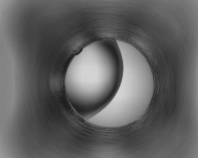 X0000088490168200705221030