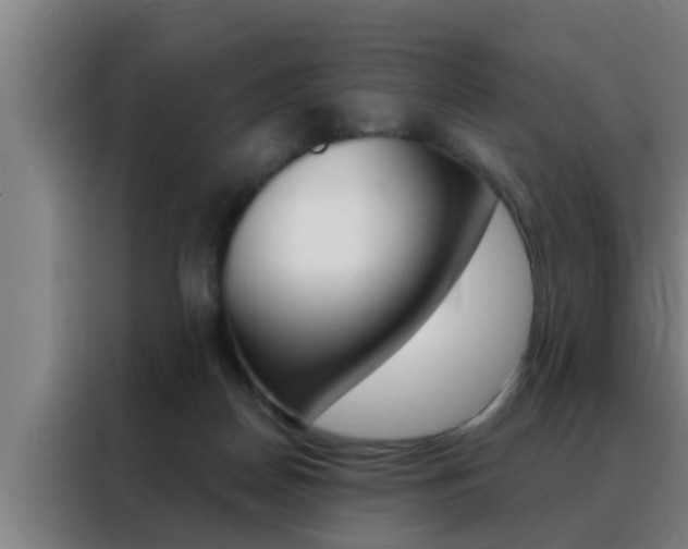 X0000088490170200705221030